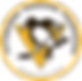 Pittsburgh Penguins Foundation logo.png