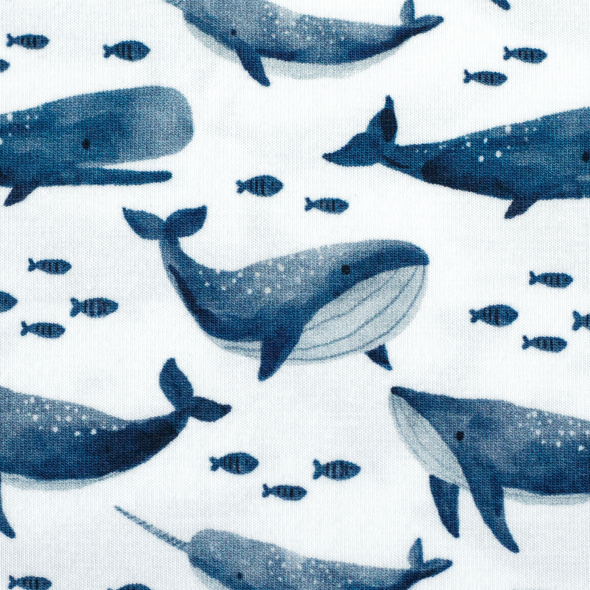 Jule, Jersey Baumwolle, Wale, Blau/Weiß