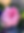 Flowers-1.png
