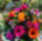 Flowers-gift-1.png