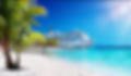 cruise.PNG