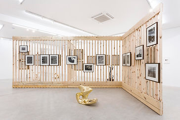 moussia_galeria_sim_2019.jpg