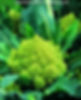 93236_l[1]