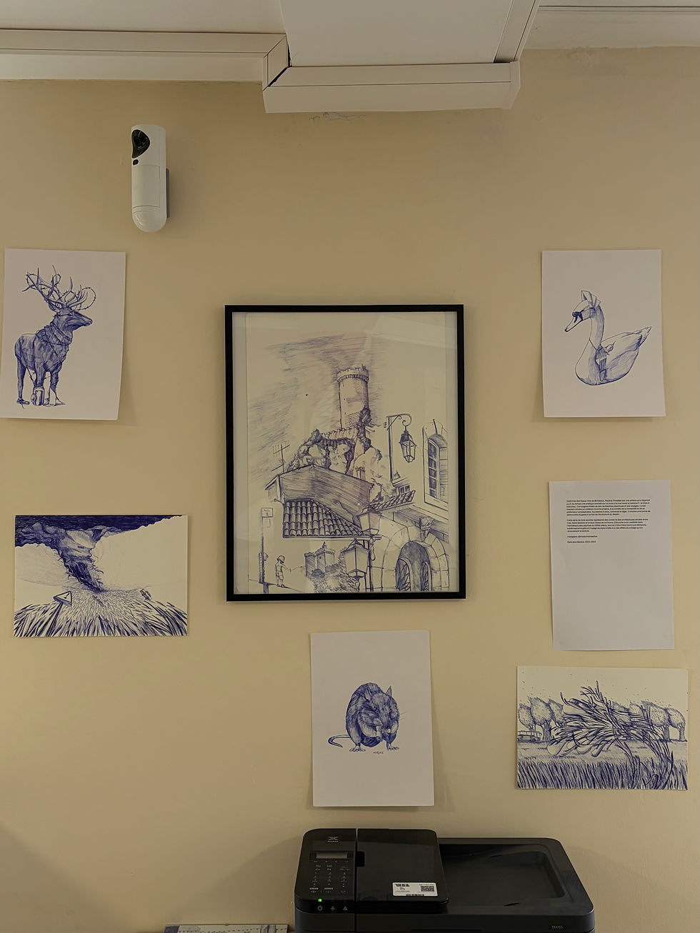 Mur d’exposition artistique à Toulouse avec dessins au stylo et œuvres encadrées dans un espace coworking créatif.