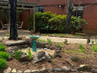 CEDAR MOUNTAIN NEWS FOR THURSDAY APRIL 11, 2024