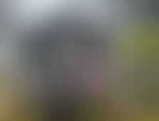 CEDAR MOUNTAIN NEWS FOR THURSDAY 12-18-25