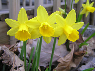 CEDAR MOUNTAIN NEWS for Thursday 2-22-24