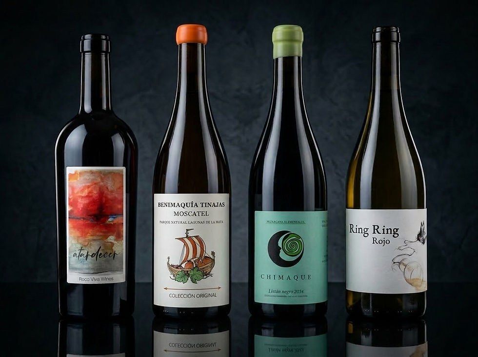 Premium_wine_bottles_professiona…_202606071923.jpeg
