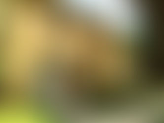 Amerika gezi notları - Bölüm 3: Milwaukee, Wausau & Wisconsin Dells