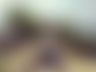 Belgrad gezi notları