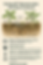 Using SF nematodes for pest control by TerraSoil infographic