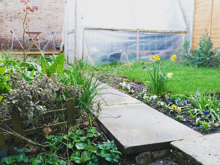 Find the right Suppliers - On the search for Quality Ingredients