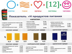 Что мы едим и пьем