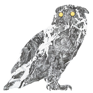 owl3.jpg