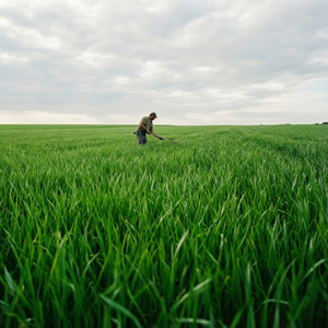 Capacitación en Campo: Experiencia Visual