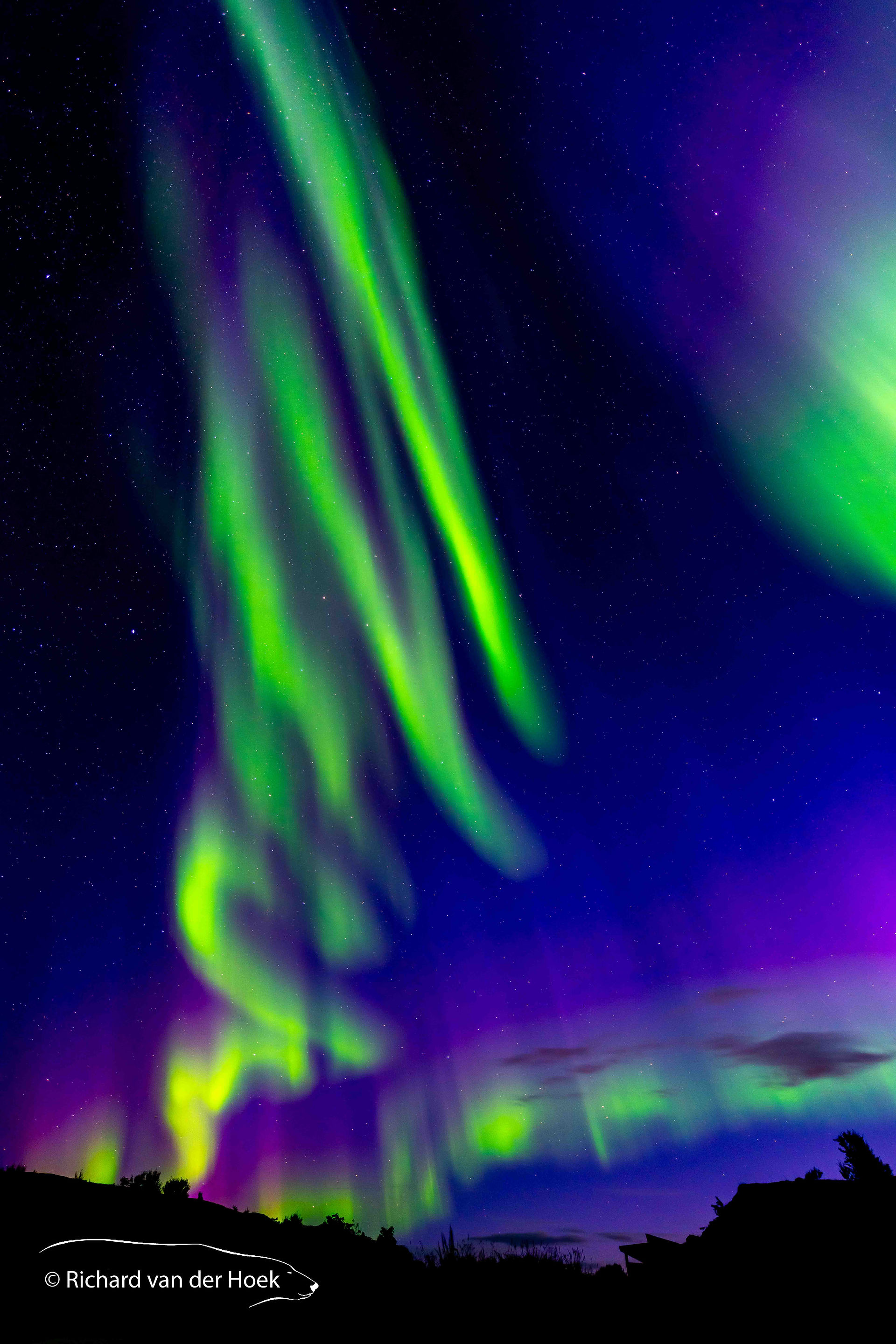 Northern Lights in Lofoten