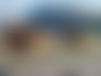 Wandel-app en waterkoker