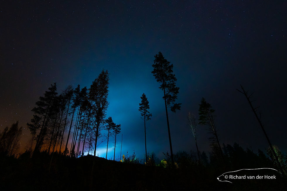 Ominous landscape in Sweden