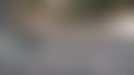 Semaine de découverte BTSA DATR : Jour 4