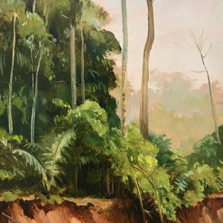 Taissia Basaria, Tambopata, New York Academy of Art, NYAA