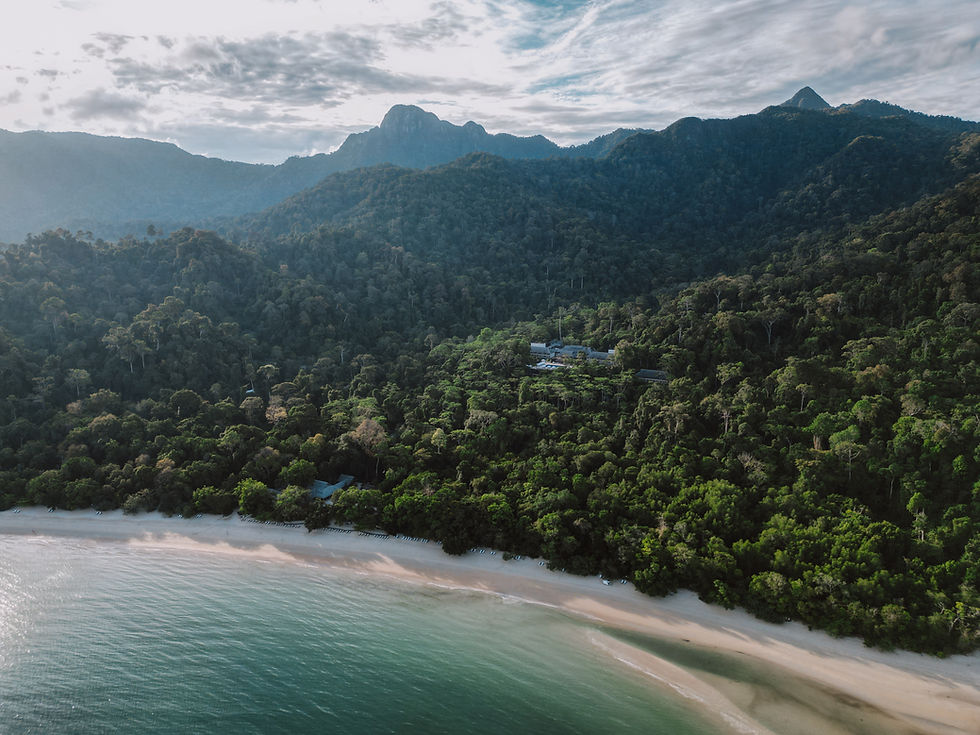 Aerial view of lush green forested hills by a sandy beach and clear turquoise waters. Mountains rise in the background under a cloudy sky.