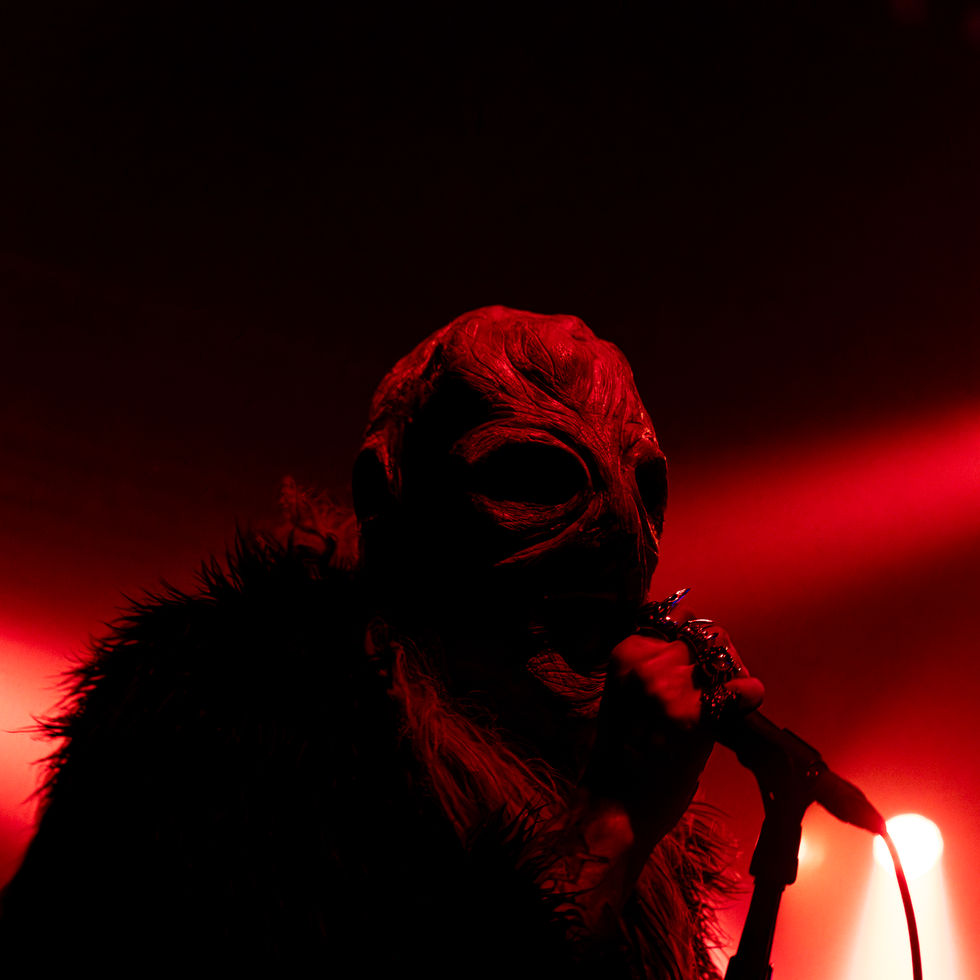 IMG_0827-Enhanced-NR