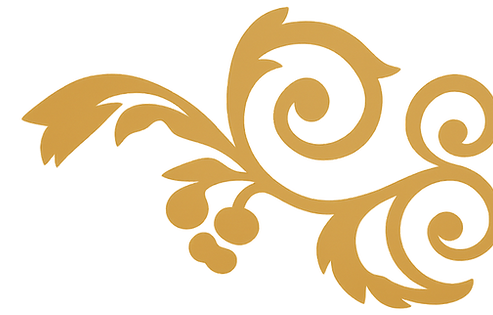 DELUXE STUDIOS DRESDEN