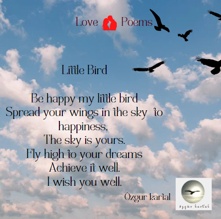 Little Bird
