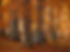 reserve-ga07c7a972_1920.jpg