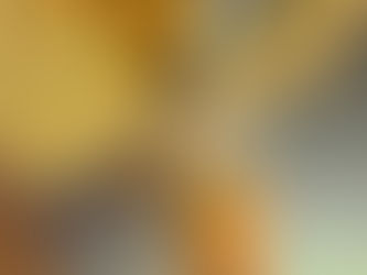 利用者様から野菜をたっぷりいただきました。