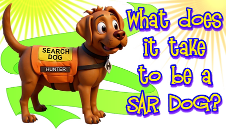 2026 Title-What does it takes to be a SD.png