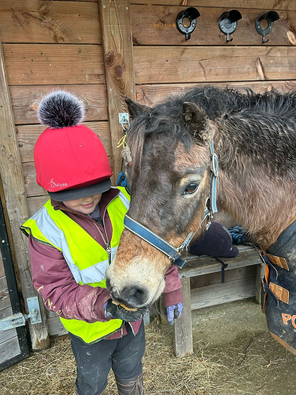 Thumbnail: Horse Treat Gift Box