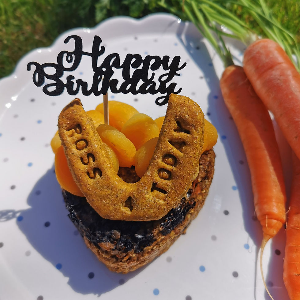 Thumbnail: Horsey Birthday Cake