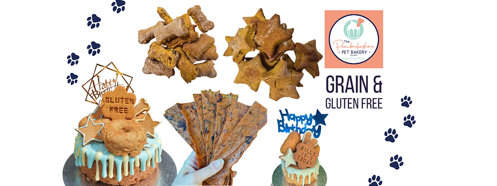 GRAIN FREE BANNER