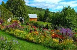 Village (95).JPG