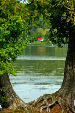Village (64).JPG