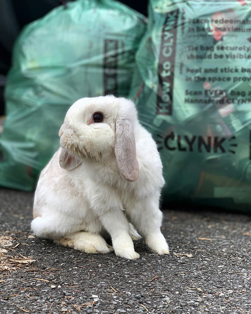 Bobby supports using Clynk (and be sure to add BGCCA as the recipient)