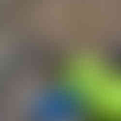 A young boy examines a stream, wearing a green jacket, in a forest setting.