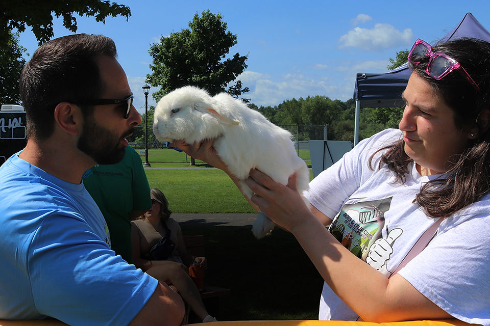 Woman holds a white fluffy rabbit, showing it to a man at an outdoor event