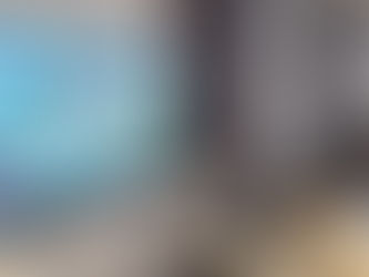 Secret Scavenger Search