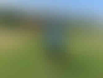 Man in blue shirt prepares to catch a red ball on a grassy field.