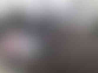 Group protesting violence, holding signs that read, "STOP THE VIOLENCE" BGCCA demonstration.