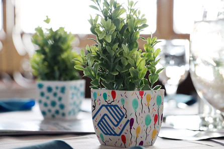 Plant in Boys & Girls Club pot. Balloons and confetti, BGCCA event decoration.