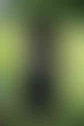 Man arranging the score board with notes, letters, and 2025 Golf Tournament BGCCA.