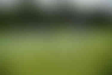 Men playing ladder toss game on a golf course with friends BGCCA