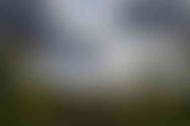 American flag waving in the sky over a corn field and cloudy day.