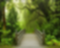 Custom-Wallpaper-Natural-Scenery-Quiet-Forest-Big-Tree-Mural-Home-Decoration-Living-Room-B