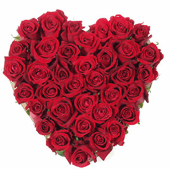 Roses en coeur