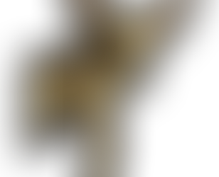 Liesel geht einkaufen