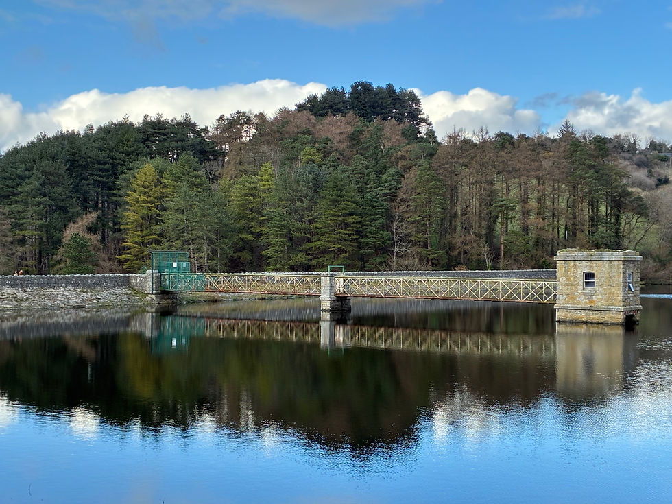 National Cancer Survivor’s Day Celebration!